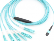 De applikaasje fan foar- beëdinge fiber yn gegevenssentrumenName